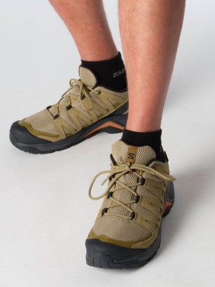 Moški pohodni čevlji Salomon X Adventure Recon GTX