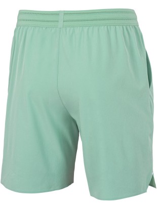 Tecnifibre moške stretch club hlačke Sage